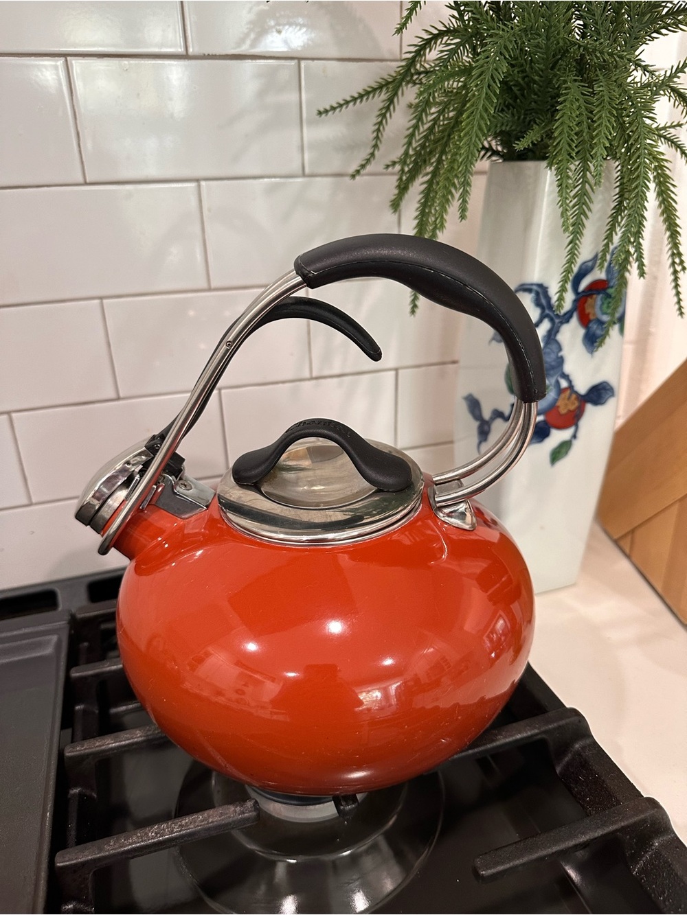 Vintage Stovetop Kettle MCM💥